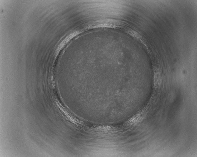 X0000057090882200509091310