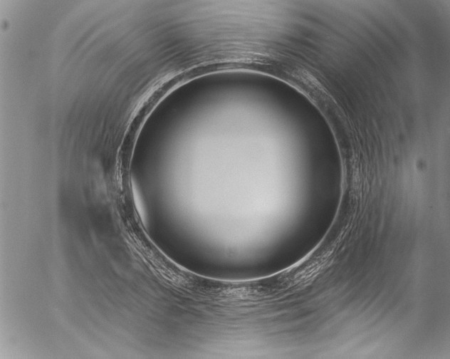 X0000057090883200509091310