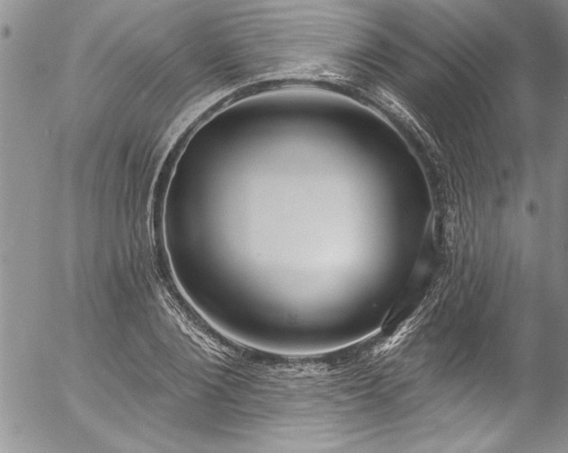 X0000057090884200509091310