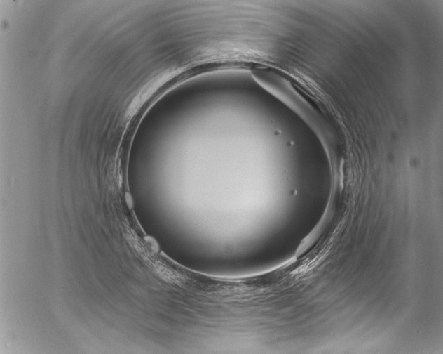 X0000057090885200509091310