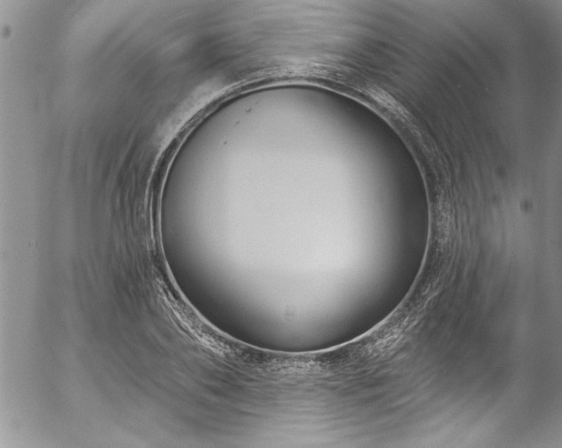 X0000057090886200509091310