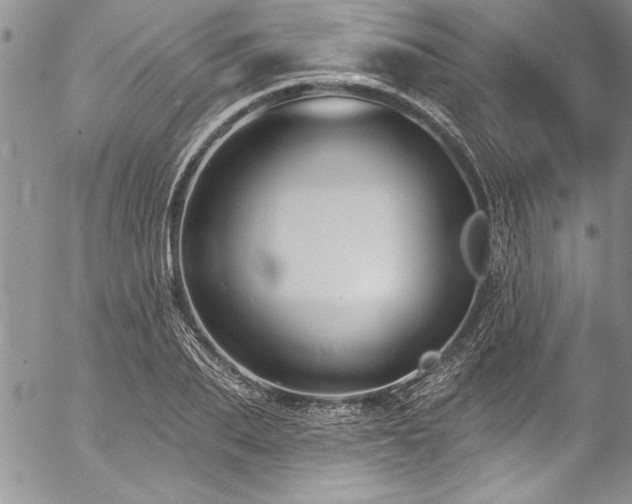 X0000057090887200509091310