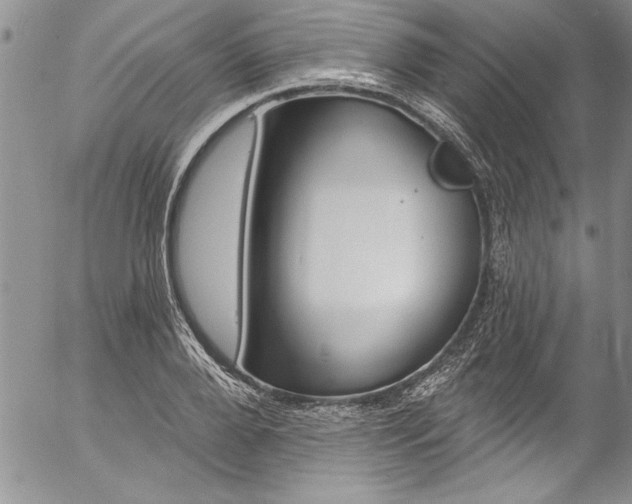 X0000057090888200509091310