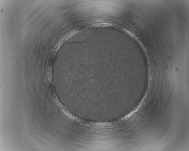 X0000057090889200509091310