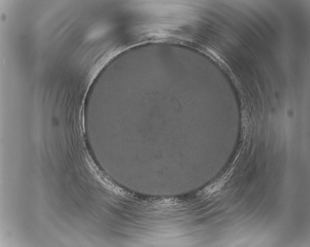 X0000057090891200509091310