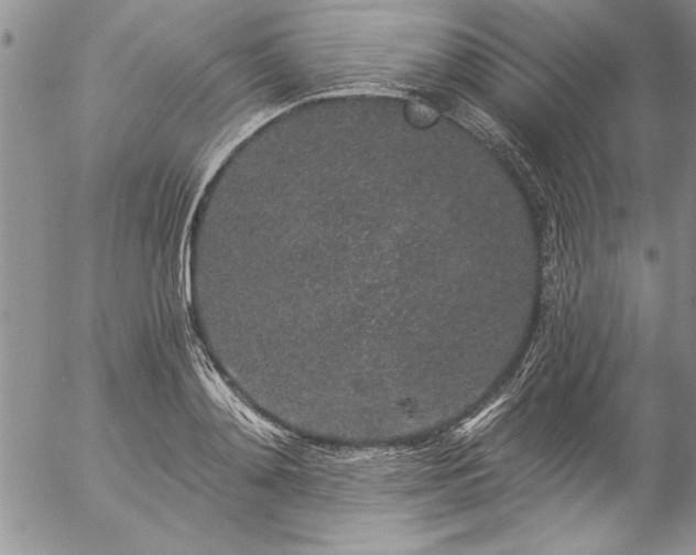 X0000057090892200509091310