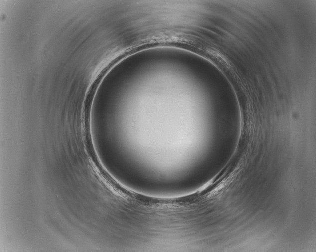 X0000057090894200509091310