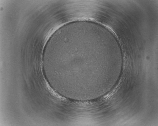 X0000057090895200509091310