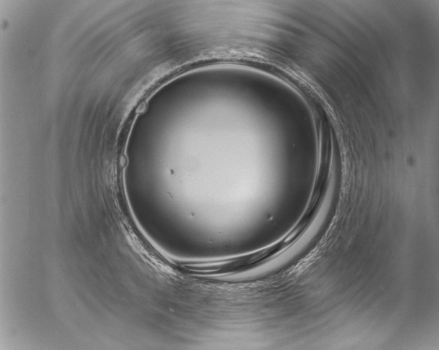 X0000057090896200509091310