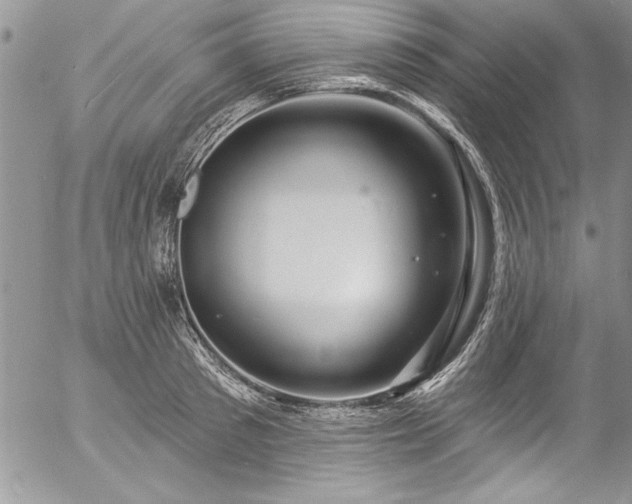 X0000057090897200509091310