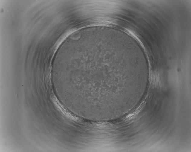 X0000057090899200509091310