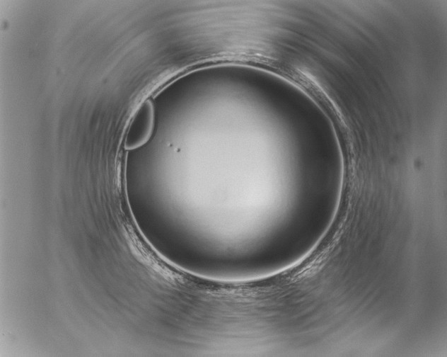 X0000057090900200509091310