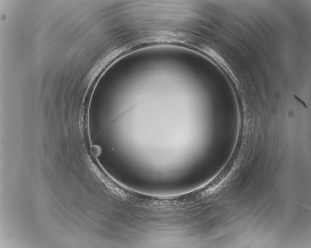 X0000057090901200509091310