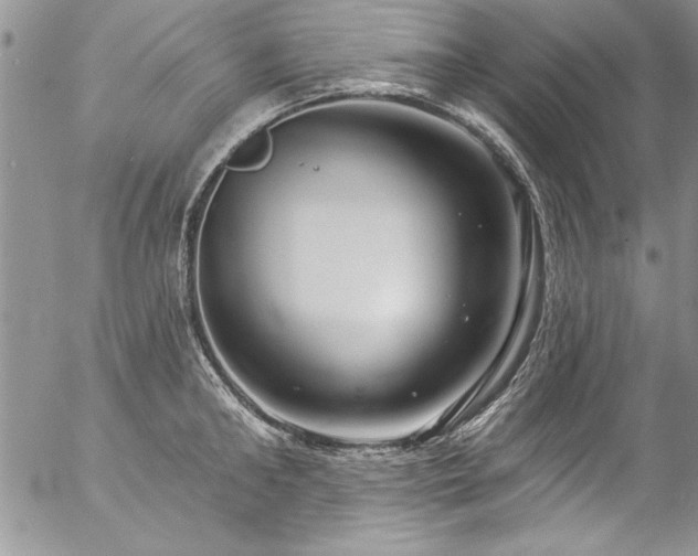 X0000057090902200509091310