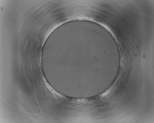 X0000057090903200509091310