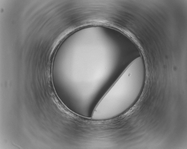 X0000057090904200509091310