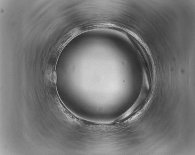 X0000057090905200509091310