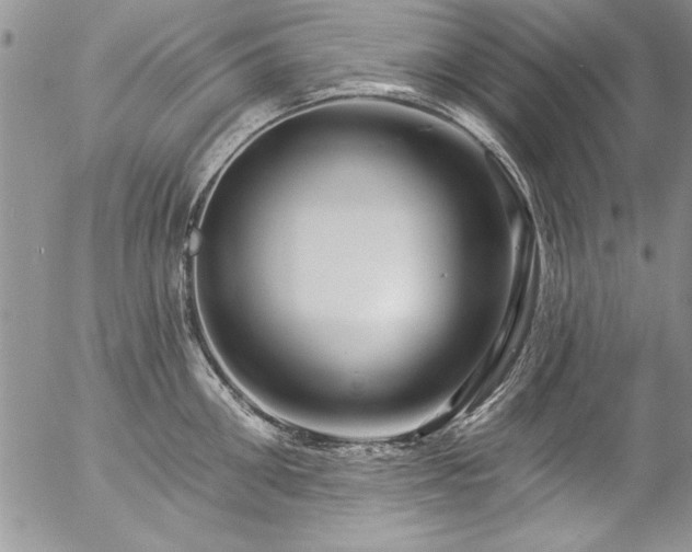 X0000057090906200509091310