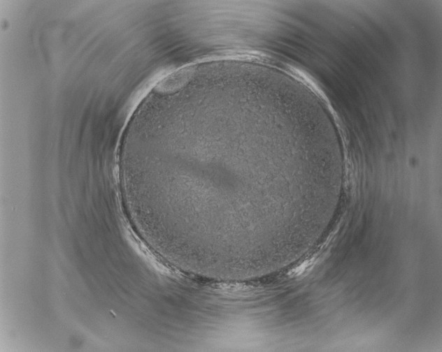 X0000057090907200509091310