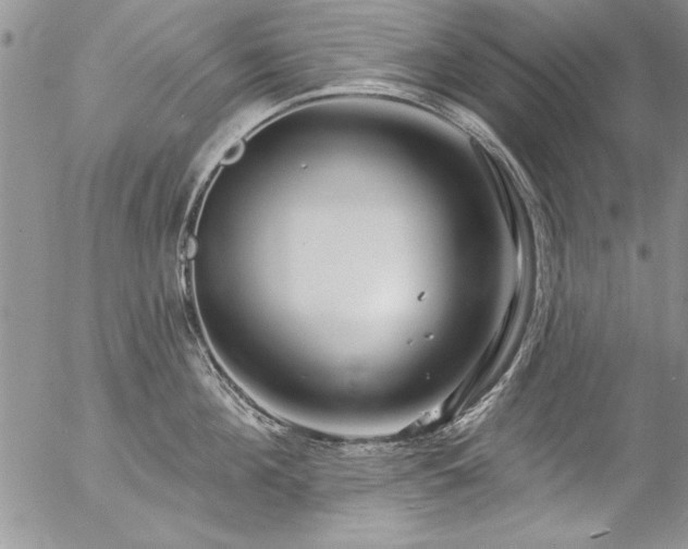 X0000057090908200509091310