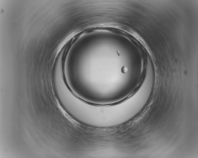 X0000057090909200509091310