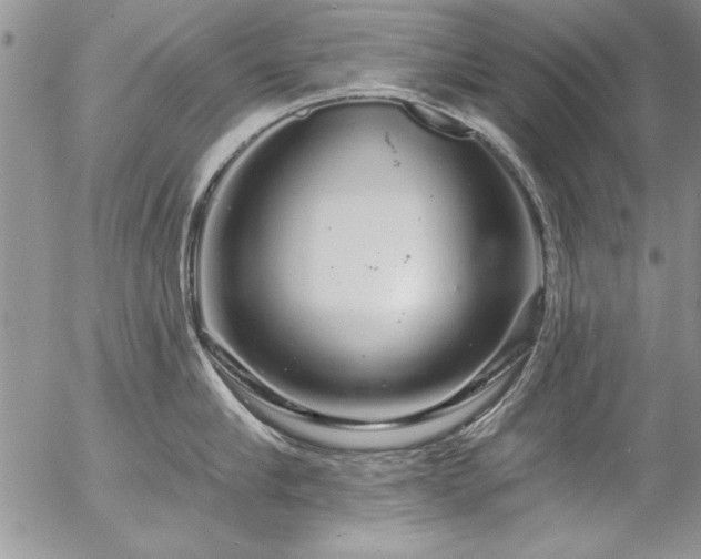 X0000057090910200509091310