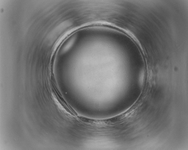 X0000057090911200509091310