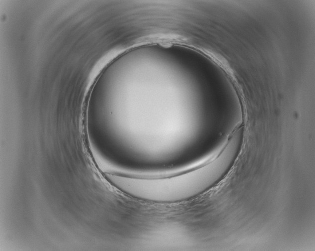 X0000057090912200509091310