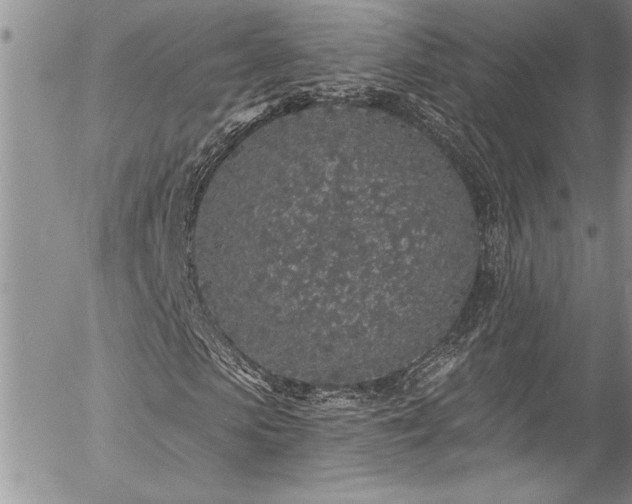 X0000057090913200509091309