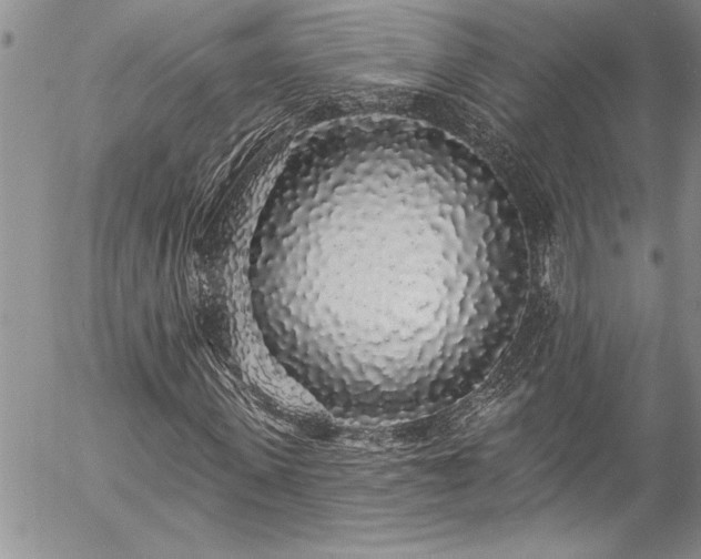 X0000057090915200509091309