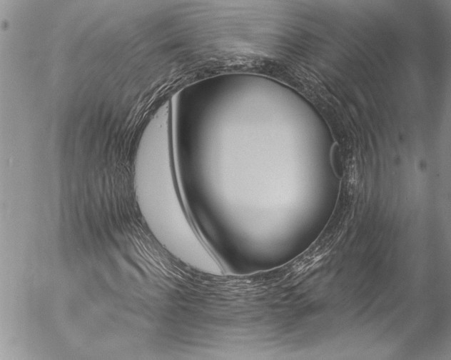 X0000057090916200509091309