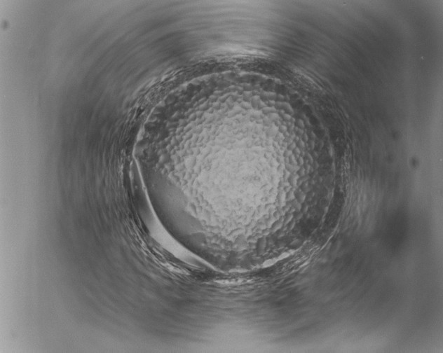 X0000057090917200509091309