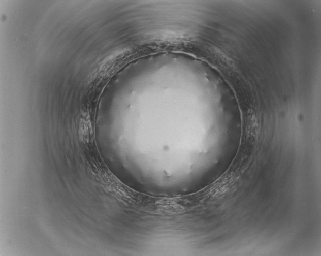 X0000057090918200509091309