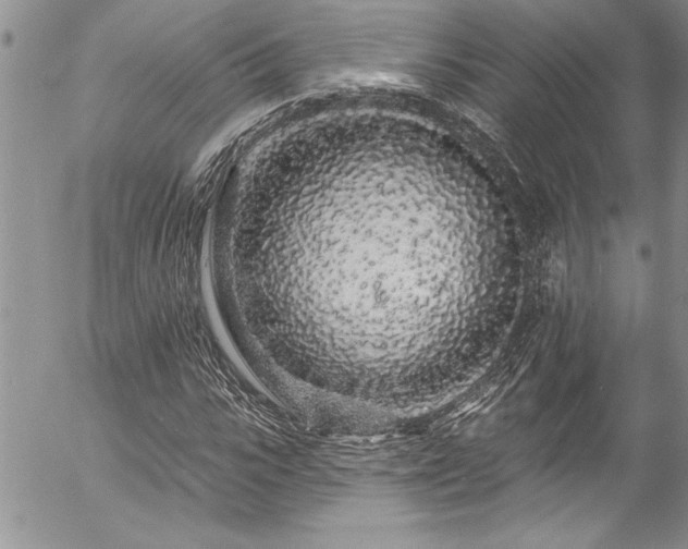 X0000057090919200509091309