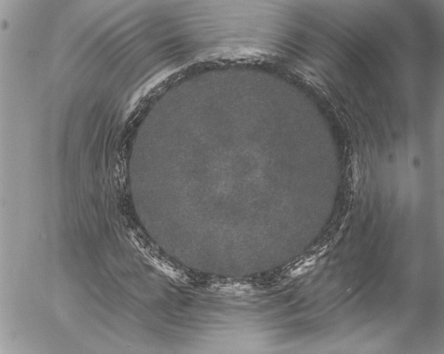 X0000057090920200509091309