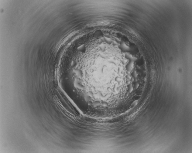 X0000057090921200509091309