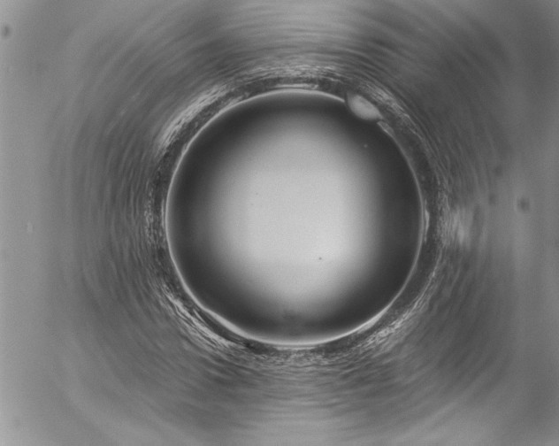 X0000057090922200509091309