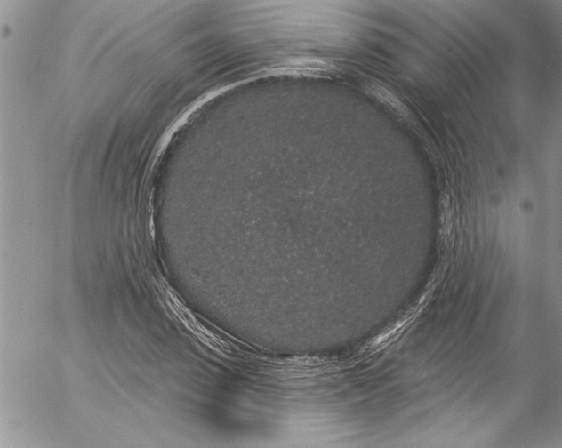 X0000057090923200509091309