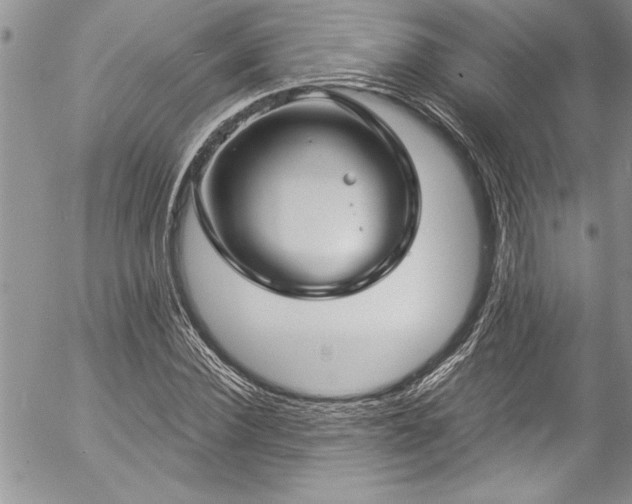 X0000057090924200509091309