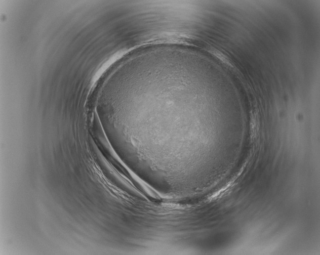 X0000057090925200509091309