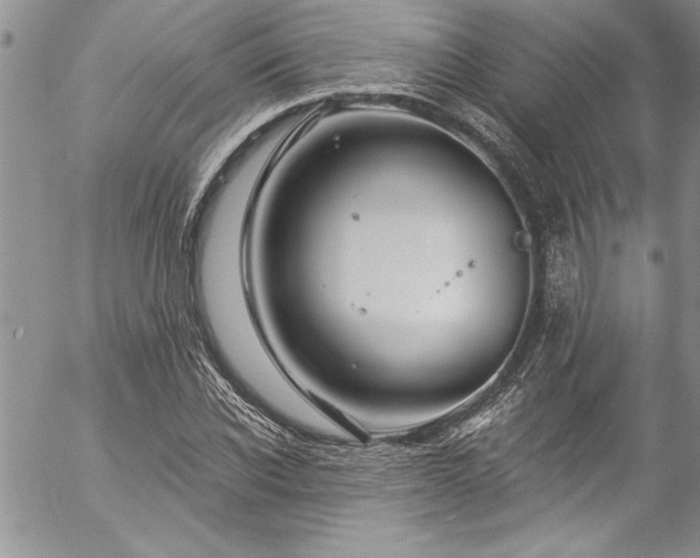 X0000057090926200509091309