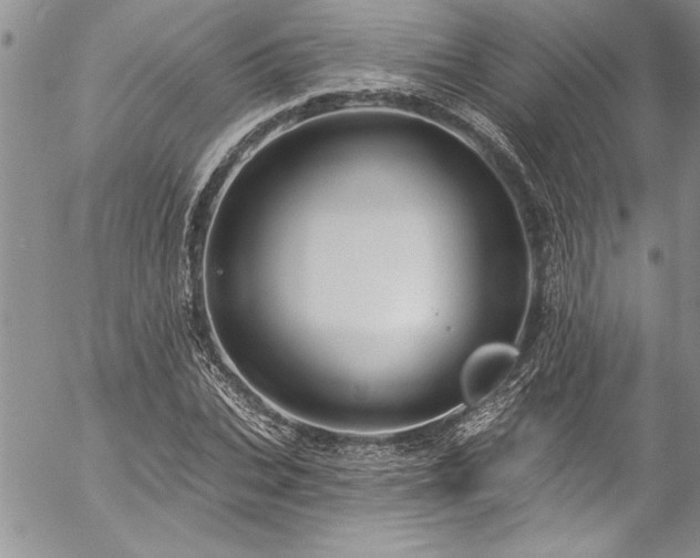 X0000057090927200509091309