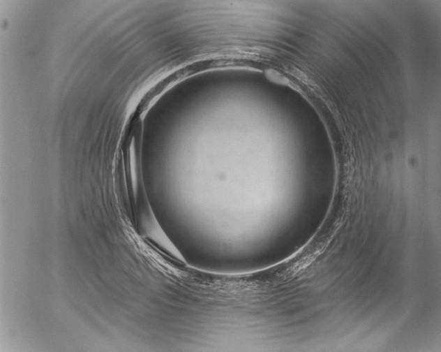 X0000057090928200509091309