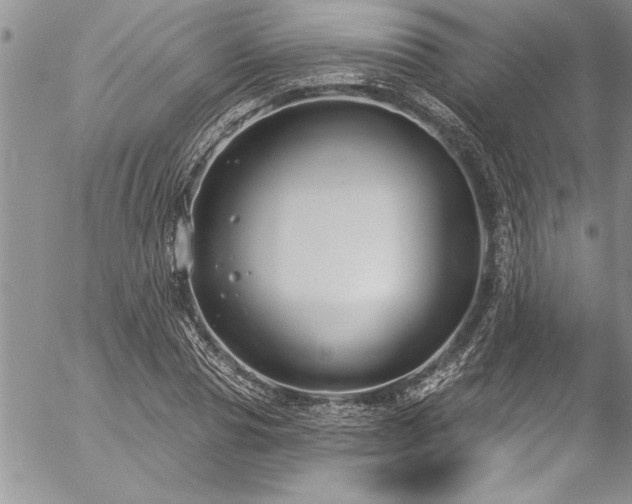 X0000057090929200509091309