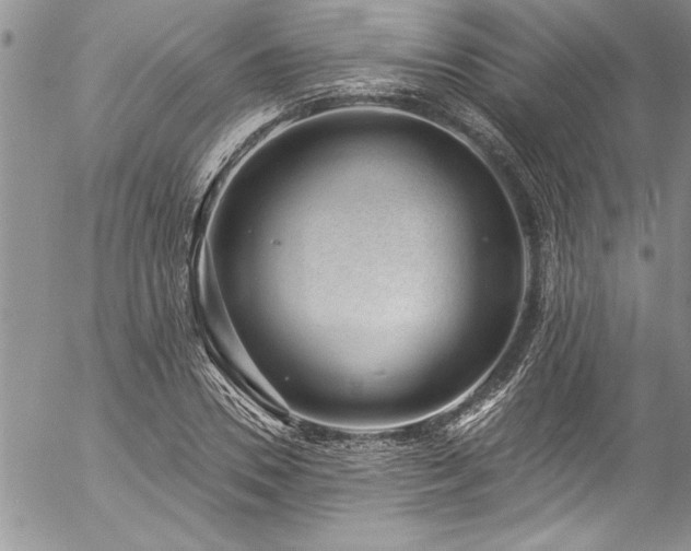 X0000057090930200509091309