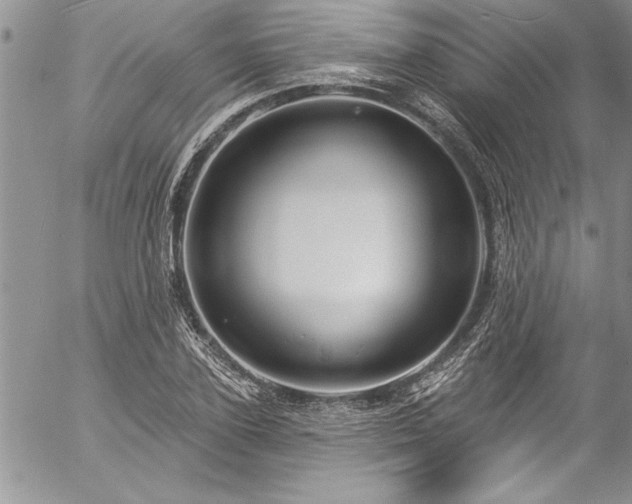 X0000057090931200509091310