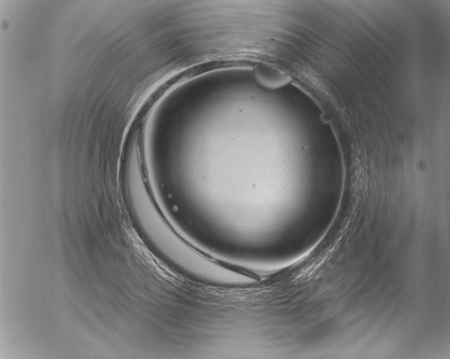 X0000057090932200509091310