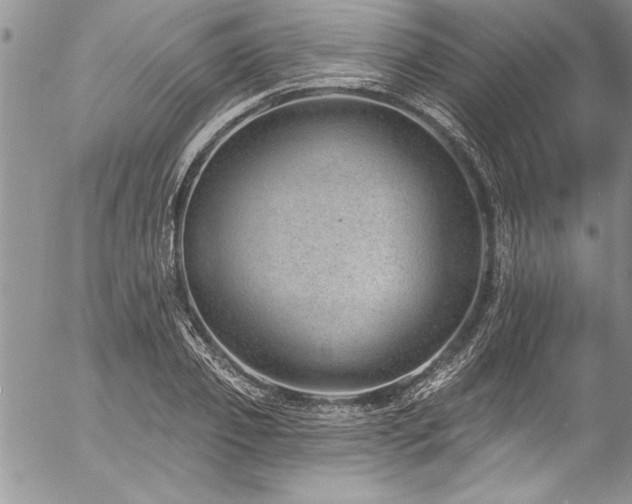 X0000057090933200509091310