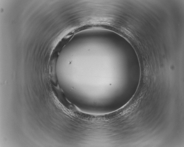 X0000057090934200509091310