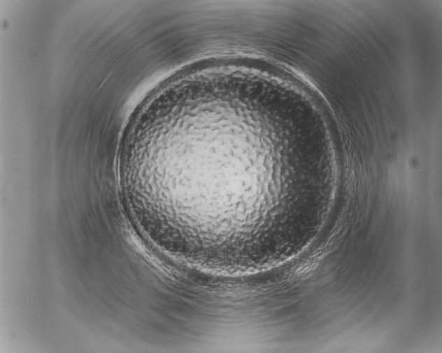 X0000057090935200509091310